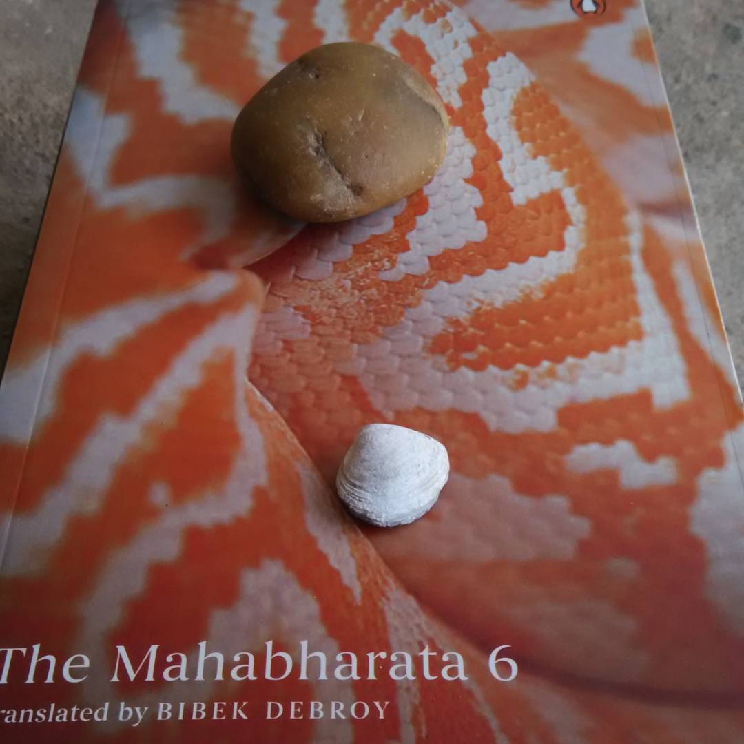 Mahabharata Day 14