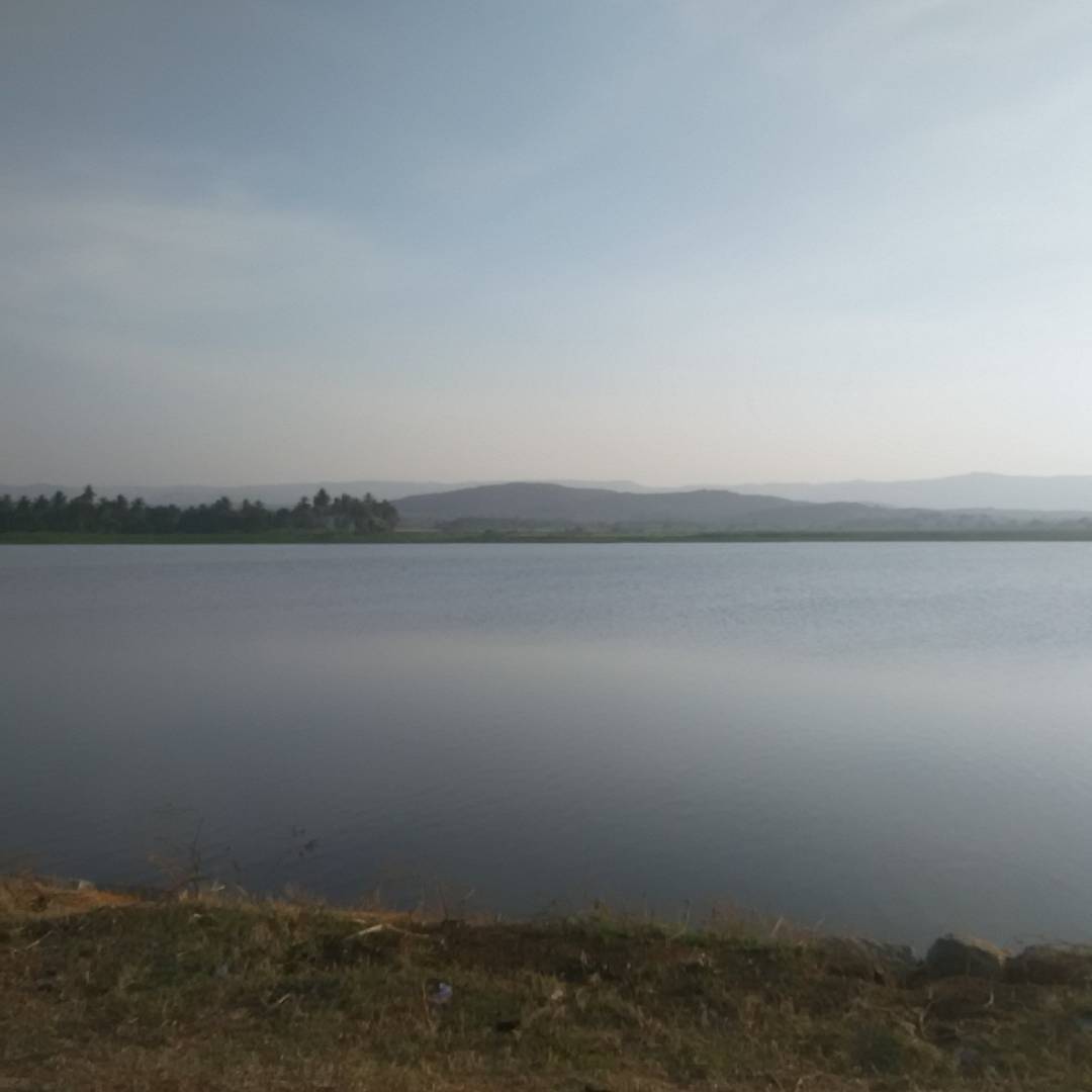 Mahabharata Day 7